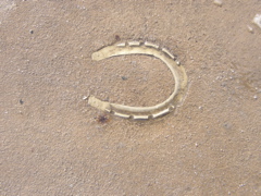 hunt11